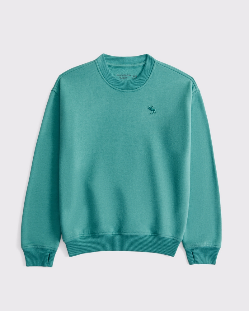 essential icon crew sweatshirt